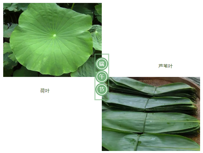 bifa必发88医纺