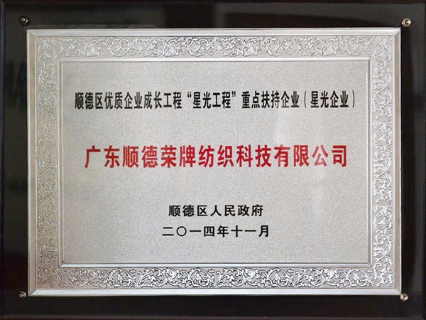 bifa必发88-2012年获顺德政府颁发“星光企业”称号