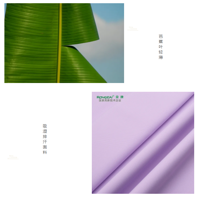 bifa必发88医纺