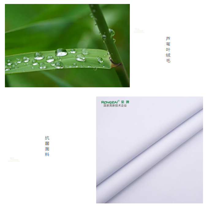 bifa必发88医纺